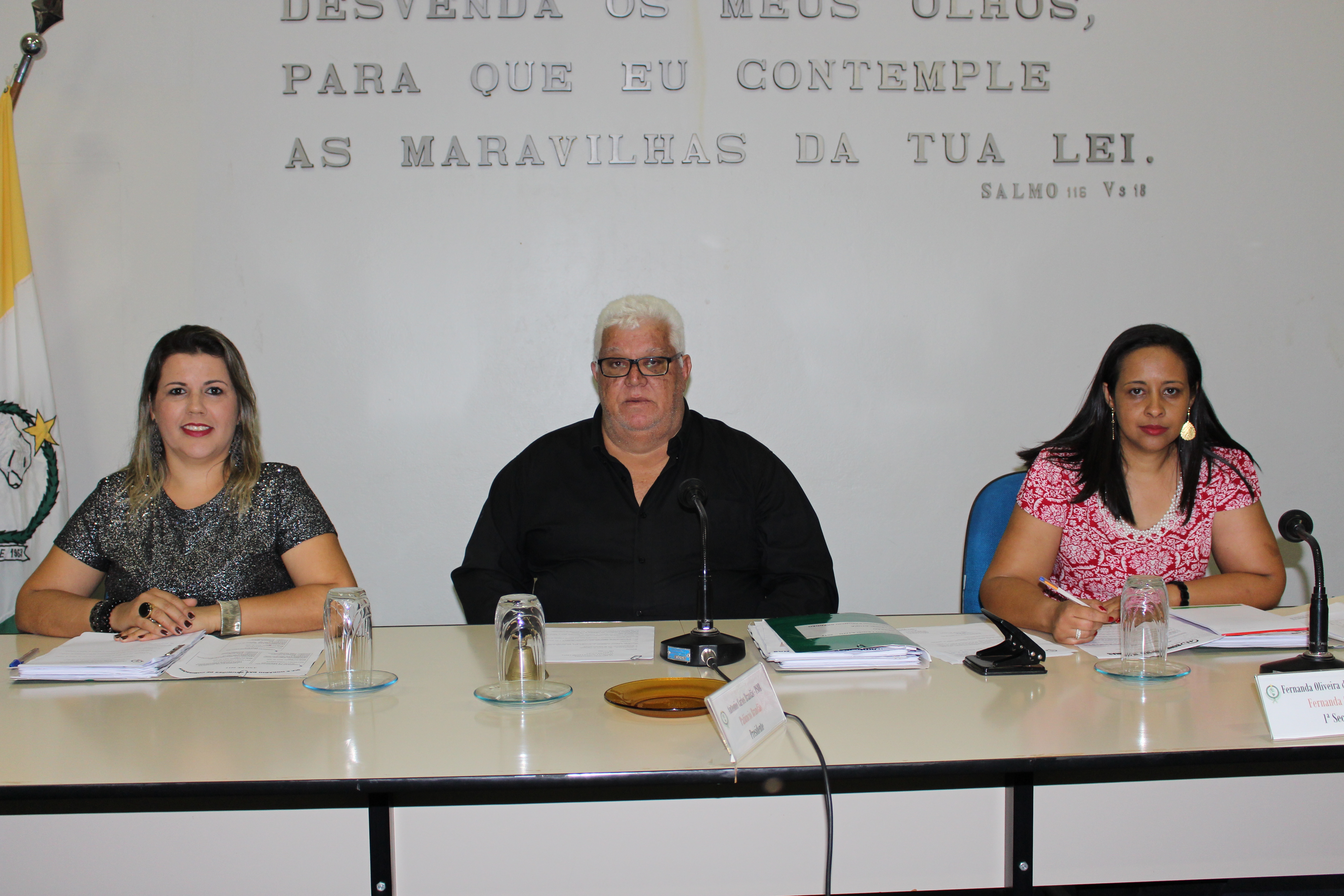 14ª Reunião Ordinária do Plenário