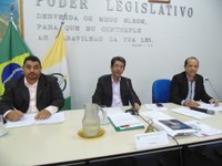 2ª Reunião Ordinária do Plenário