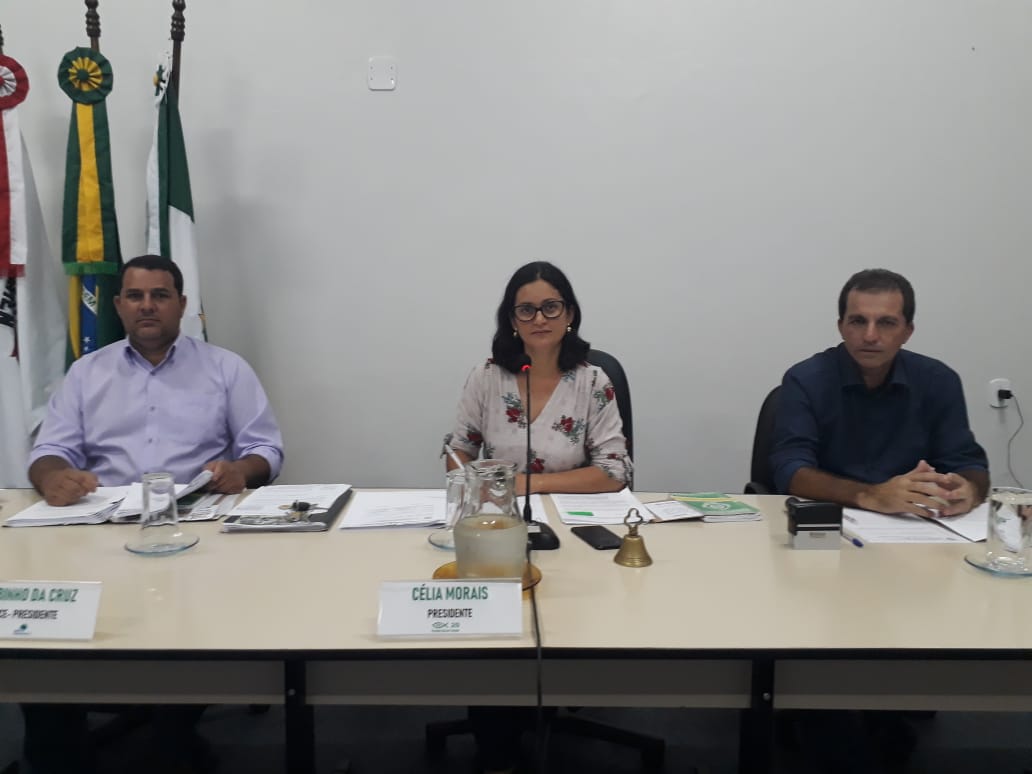 3ª Reunião Extraordinária do Plenário