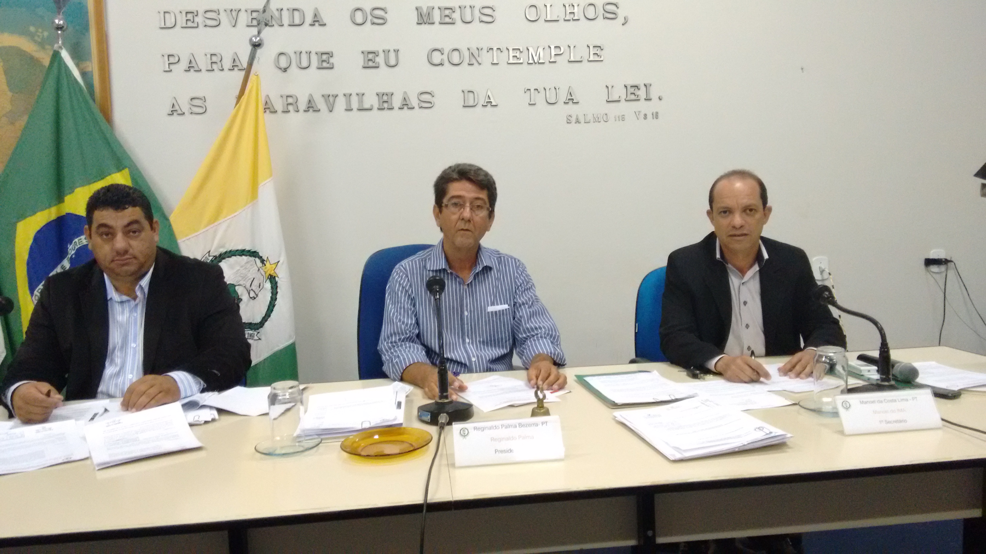 7ª Reunião Ordinária do Plenário