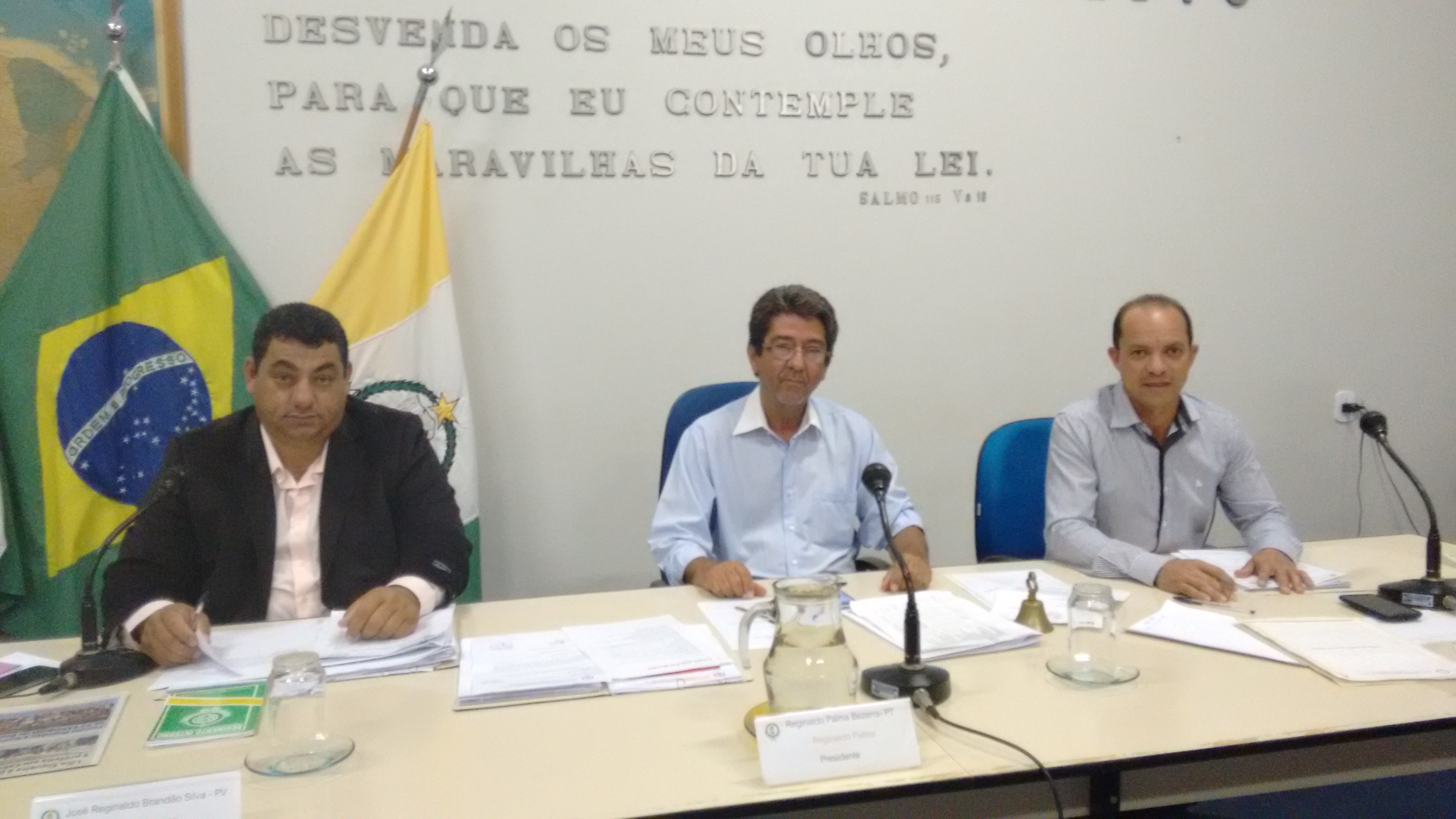 9ª Reunião Ordinária do Plenário