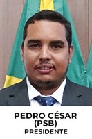 Presidente: Ver. Pedro César