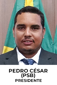 Presidente: Ver. Pedro César