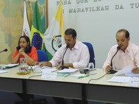 12ª Reunião Ordinária do Plenário