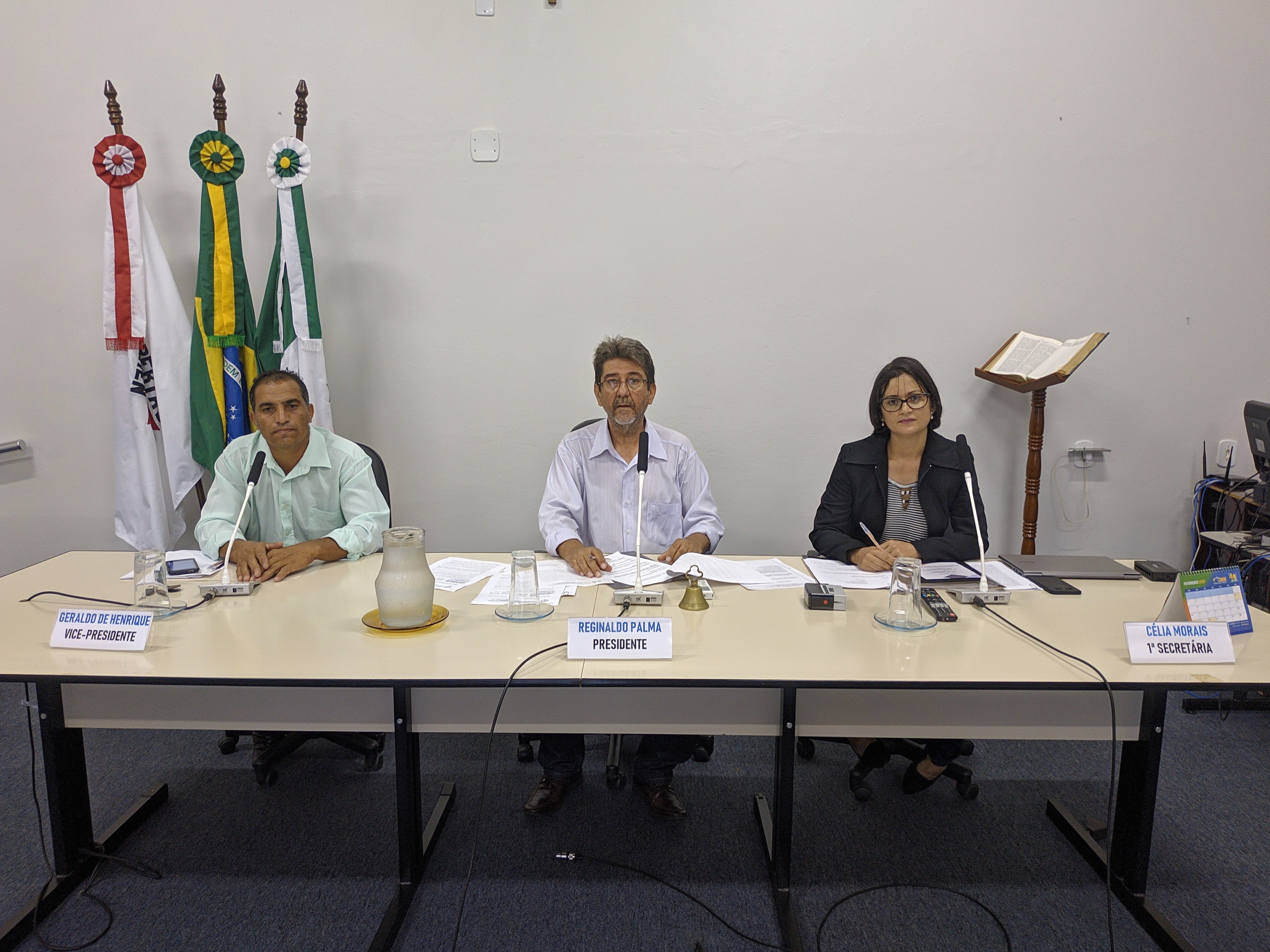 1ª Reunião Ordinária do Plenário de 2020