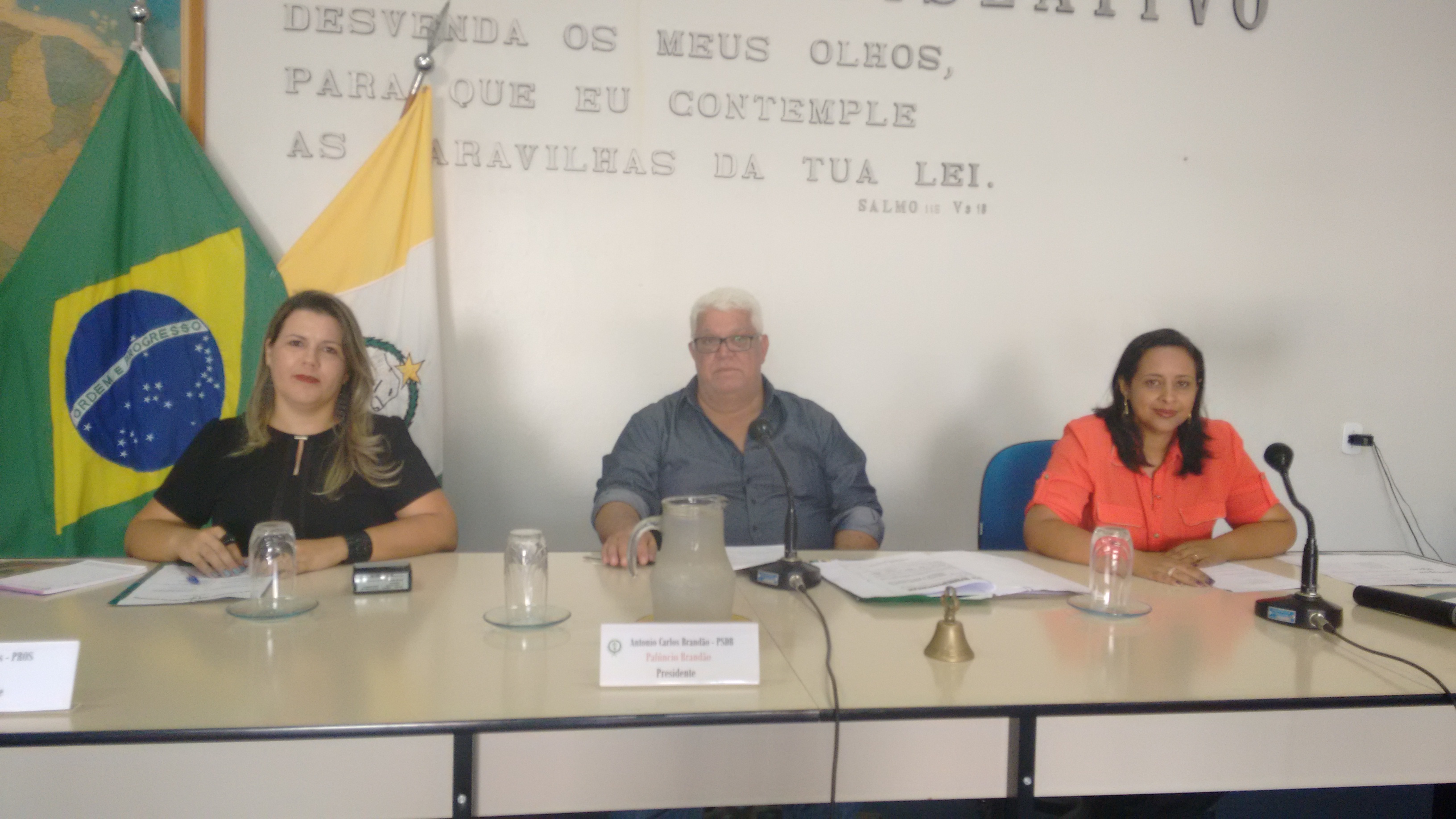 2ª Reunião Ordinária do Plenário