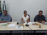 2ª Reunião Ordinária do Plenário