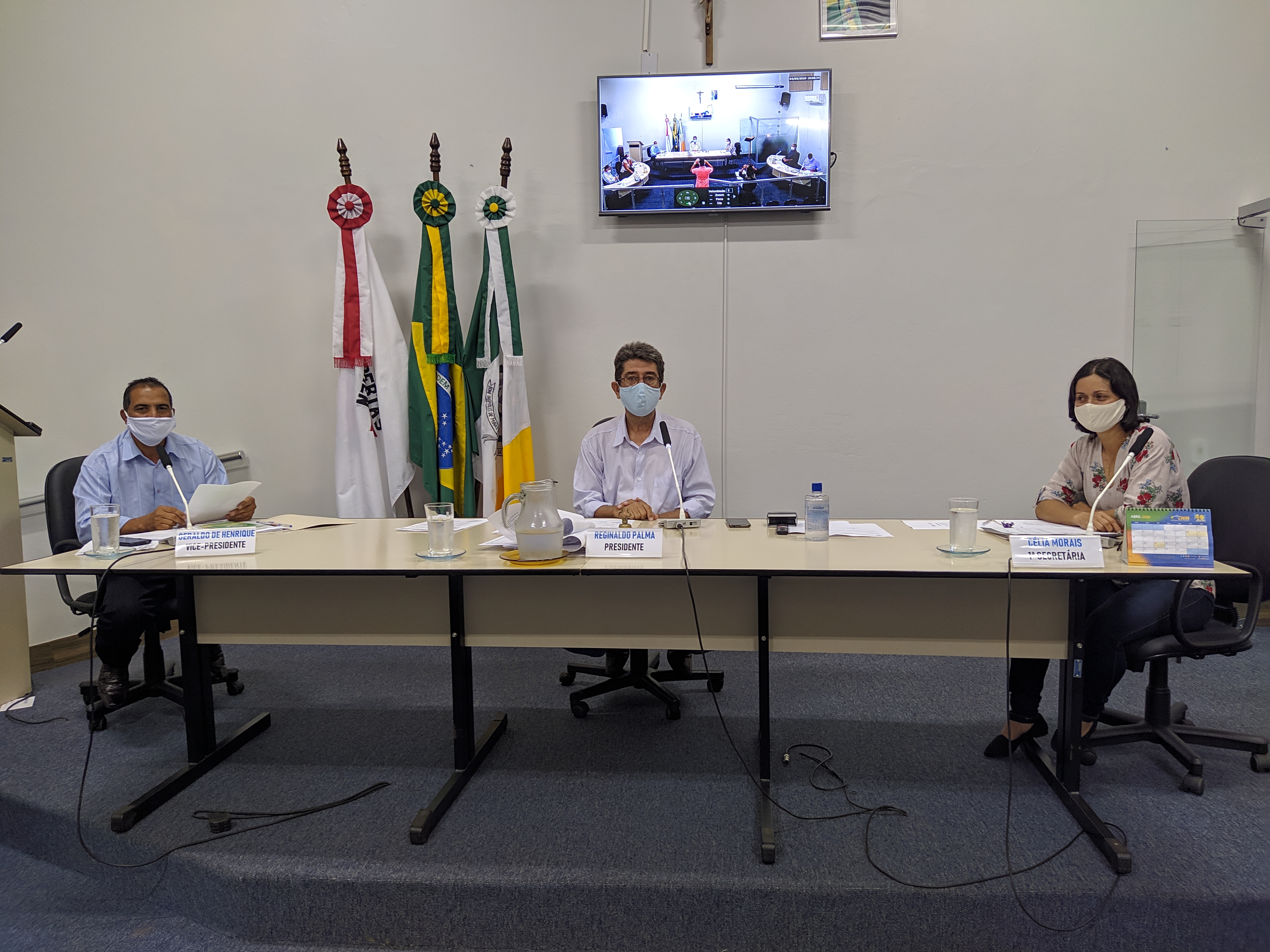 4ª Reunião Ordinária de Plenário 