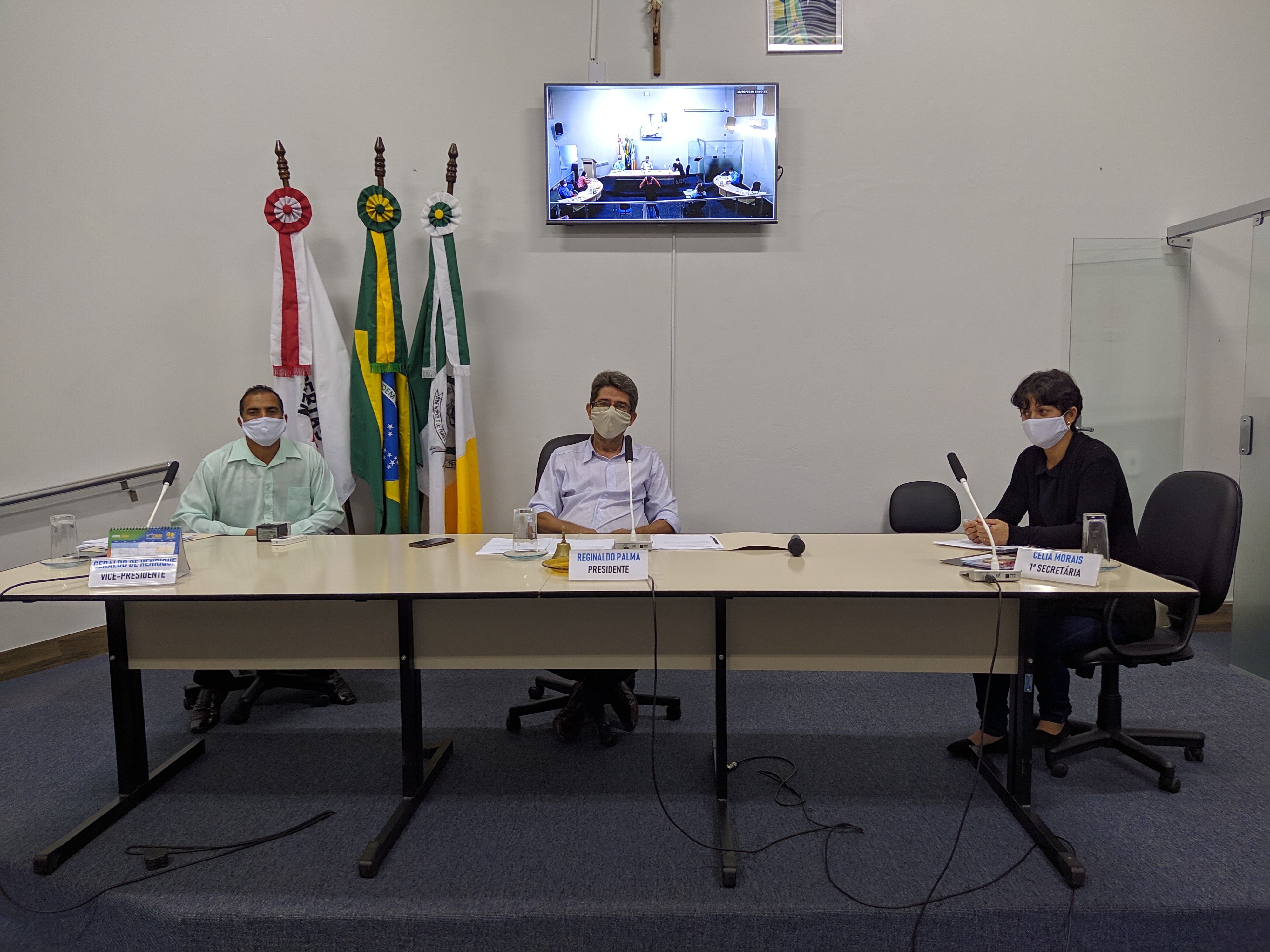 5ª Reunião Ordinária do Plenário 