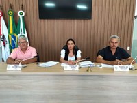 Reunião da Comissão de Gestão Pública (CGP).